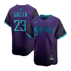 Youth Arizona Diamondbacks #23 Zac Gallen Purple 2025 City Connect Limited Player Jersey