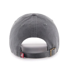 FLORIDA STATE SEMINOLES '47 CLEAN UP CHARCOAL