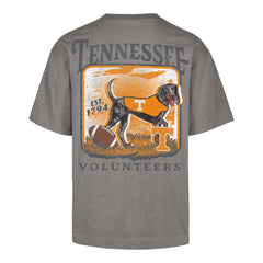TENNESSEE VOLUNTEERS REGIONAL BACKER '47 FOUNDATION TEE WOLF GREY