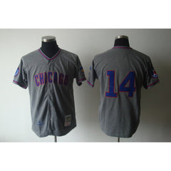 Mitchell And Ness 1968 Cubs #14 Ernie Banks Grey Stitched Throwback MLB Jersey