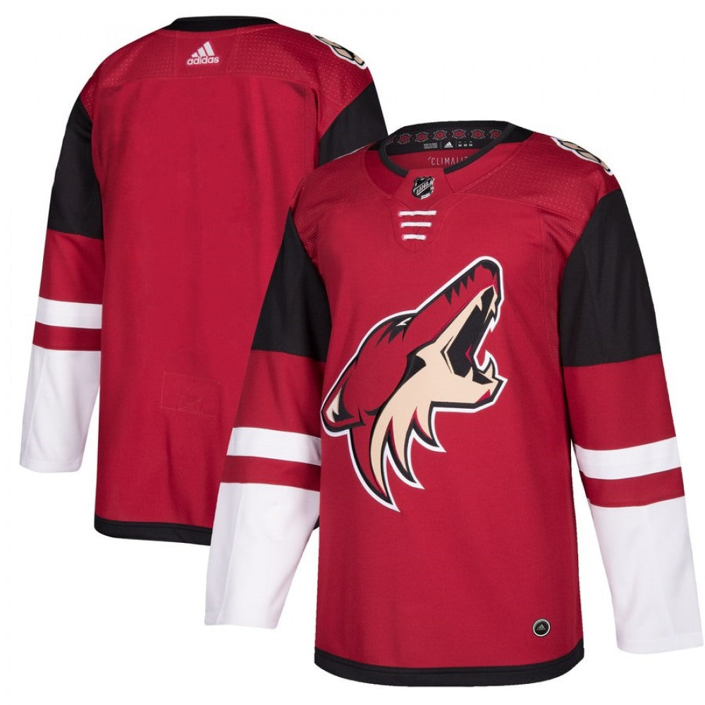 Men's Arizona Coyotes Burgundy Red 2018 Season Home Stitched NHL Jersey