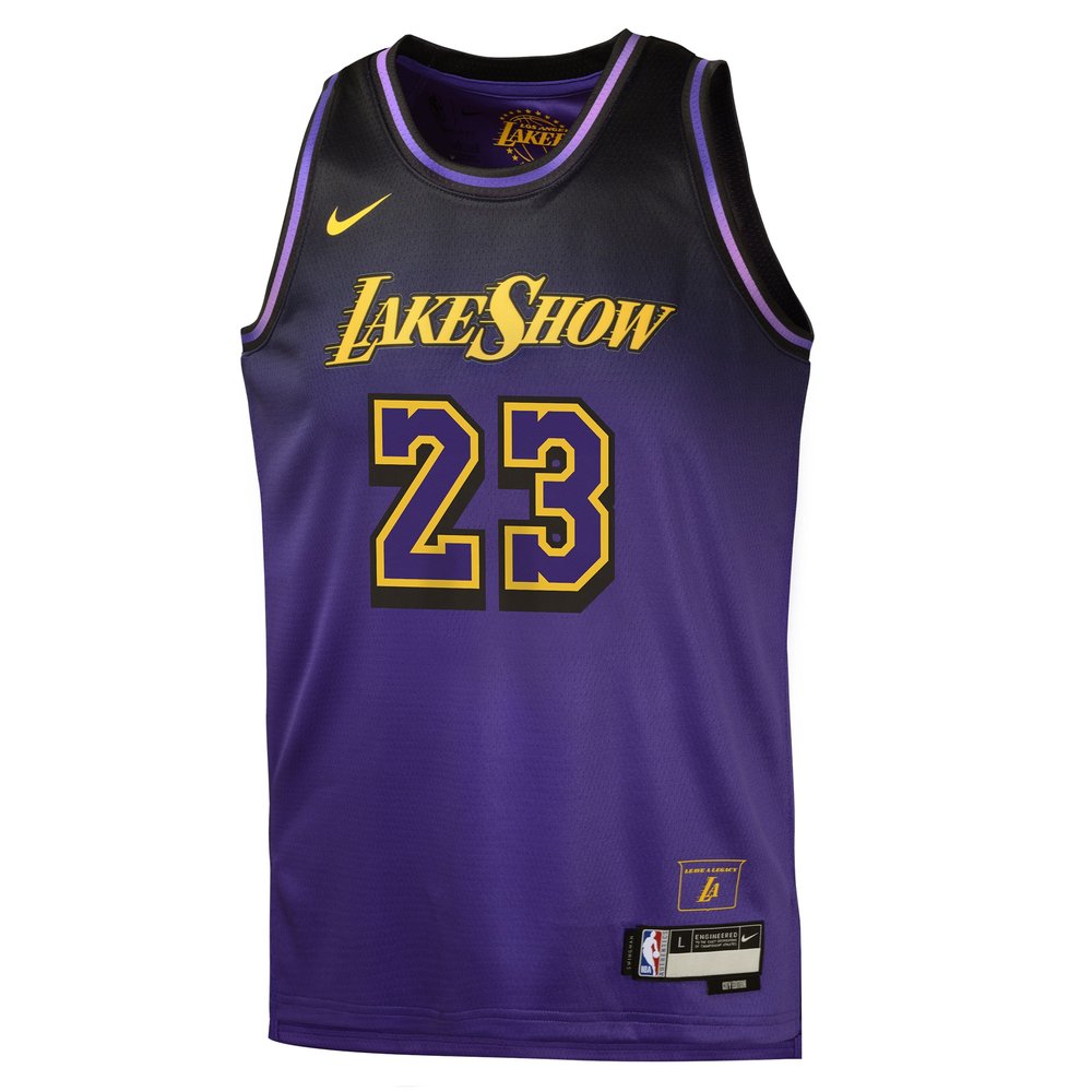 Youth Los Angeles Lakers LeBron James Purple 2024/25 Swingman Player Jersey - City Edition