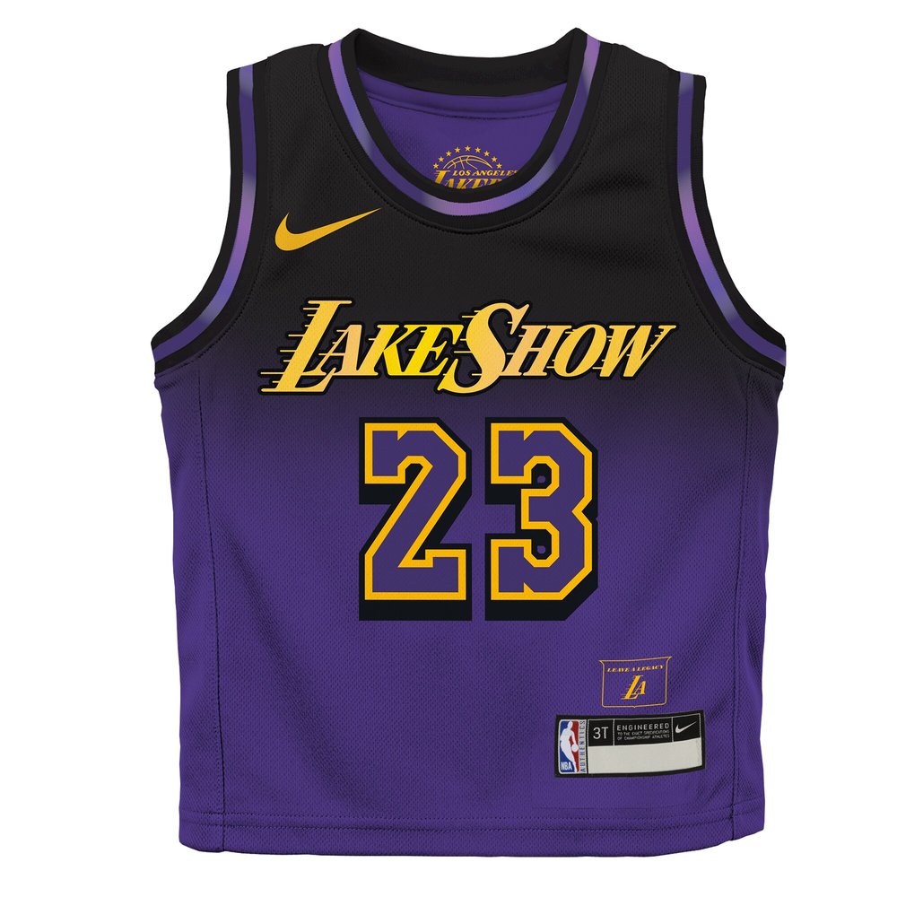 Toddler Los Angeles Lakers LeBron James Purple 2024/25 Swingman Player Jersey - City Edition