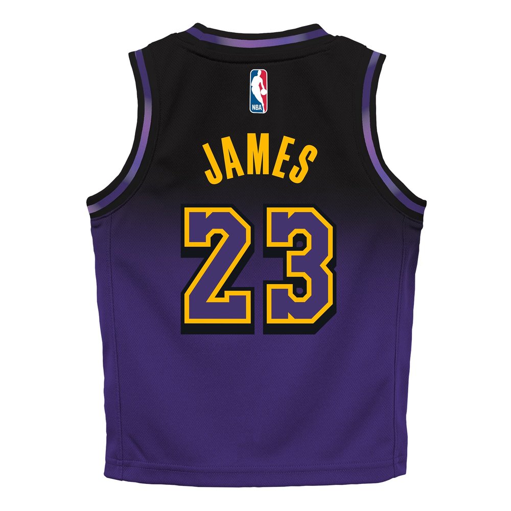 Toddler Los Angeles Lakers LeBron James Purple 2024/25 Swingman Player Jersey - City Edition