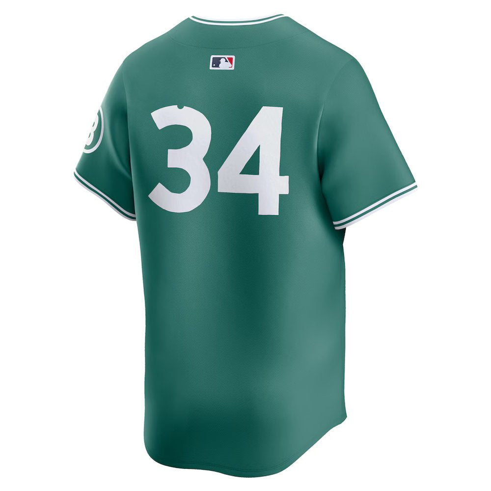 Youth Boston Red Sox #34 David Ortiz Green 2025 City Connect Limited Retired Player Jersey