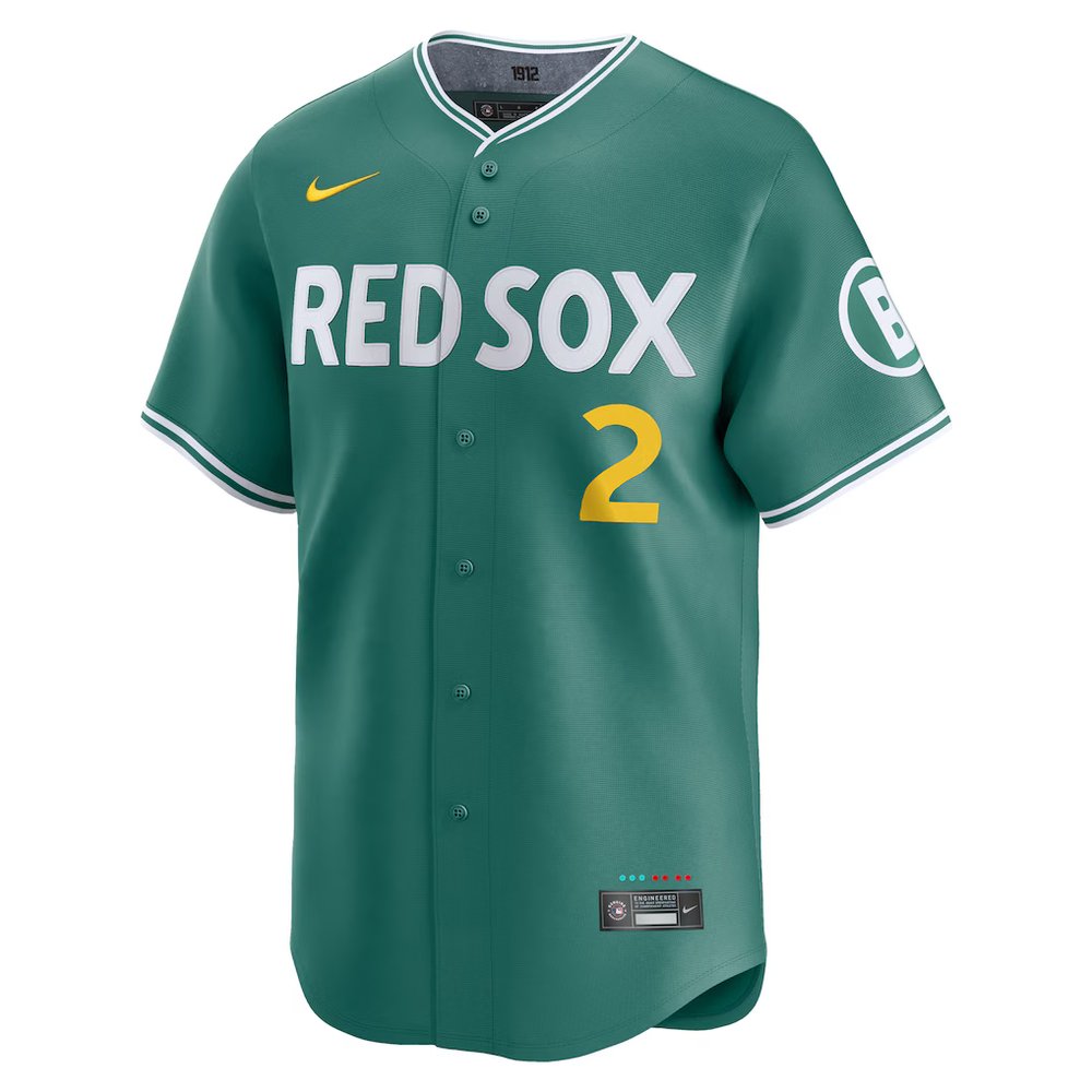 Youth Boston Red Sox #2 Alex Bregman Green 2025 City Connect Limited Player Jersey