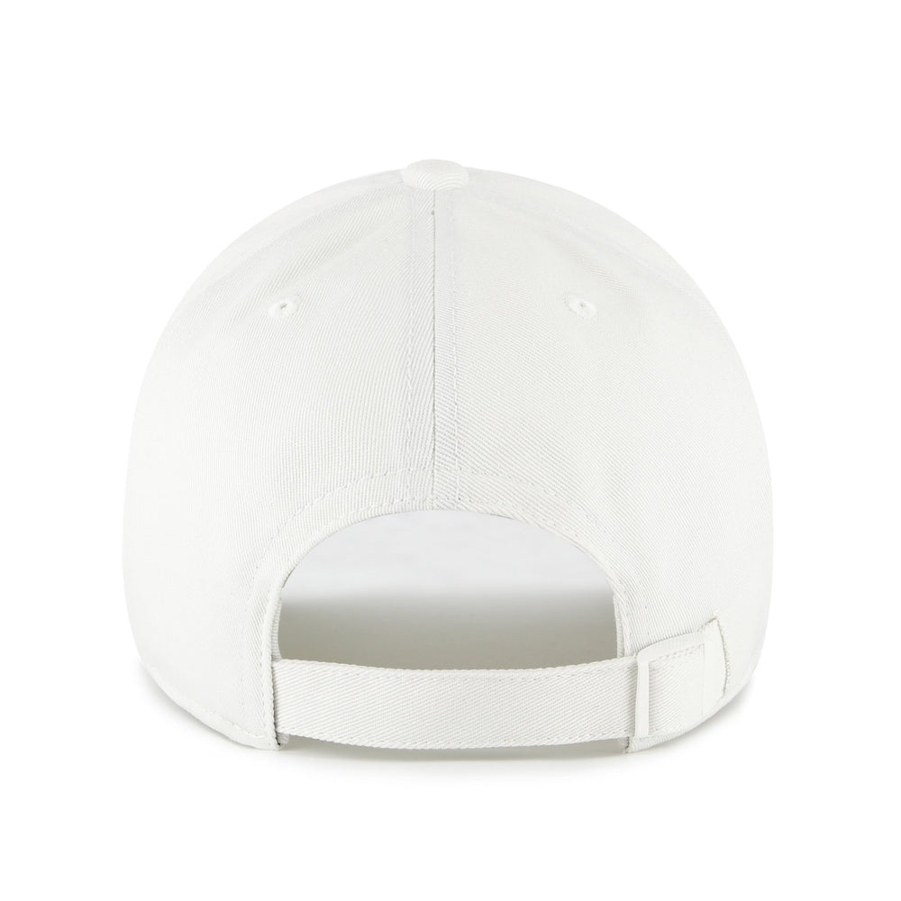 ARIZONA WILDCATS FOUNDATION '47 CLEAN UP SANDSTONE