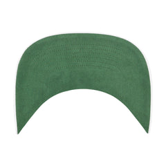 HOUSTON ASTROS CITY CONNECT POMONA ROPE '47 HITCH WHITE