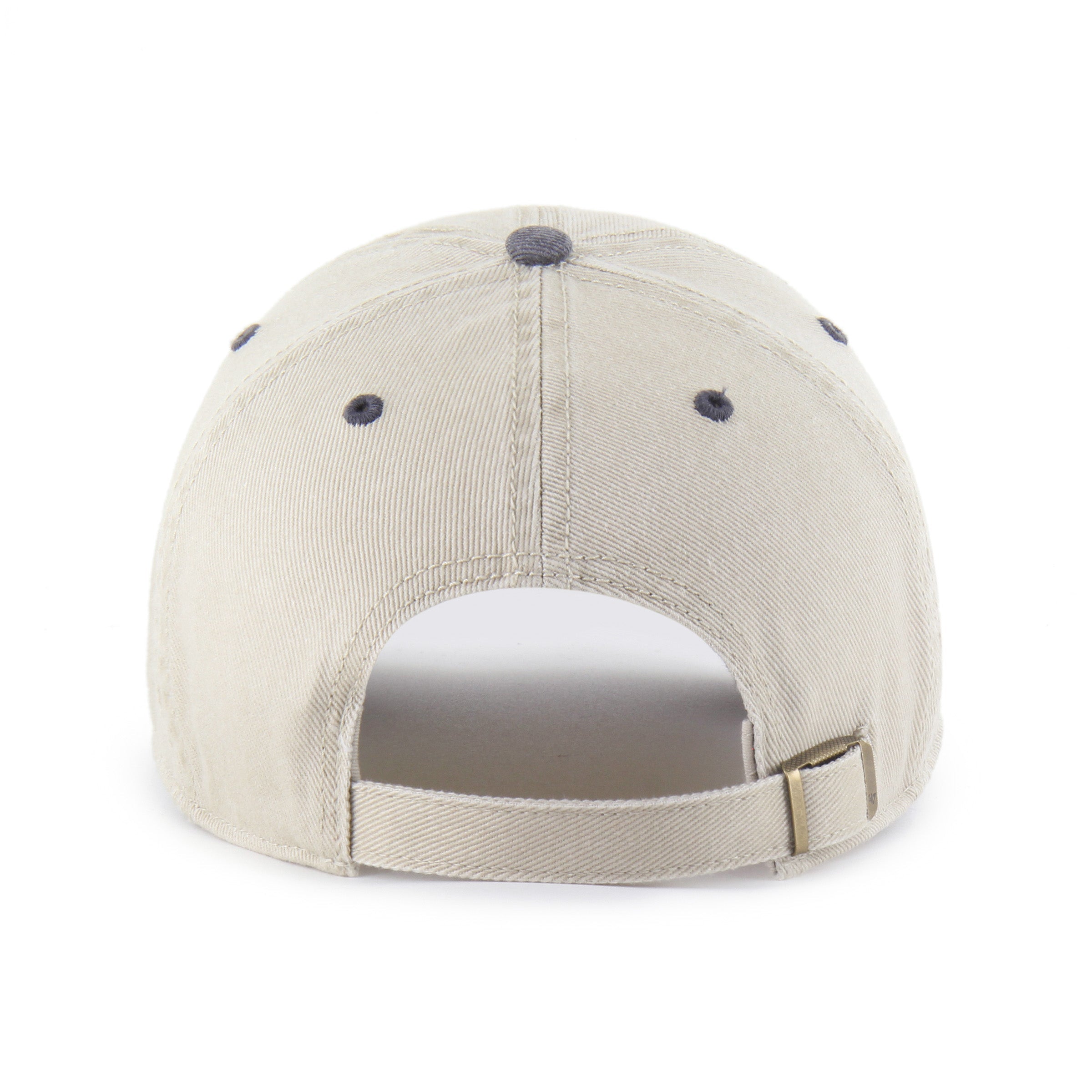 TAMPA BAY LIGHTNING BREAKING TRAIL '47 CLEAN UP MOJAVE