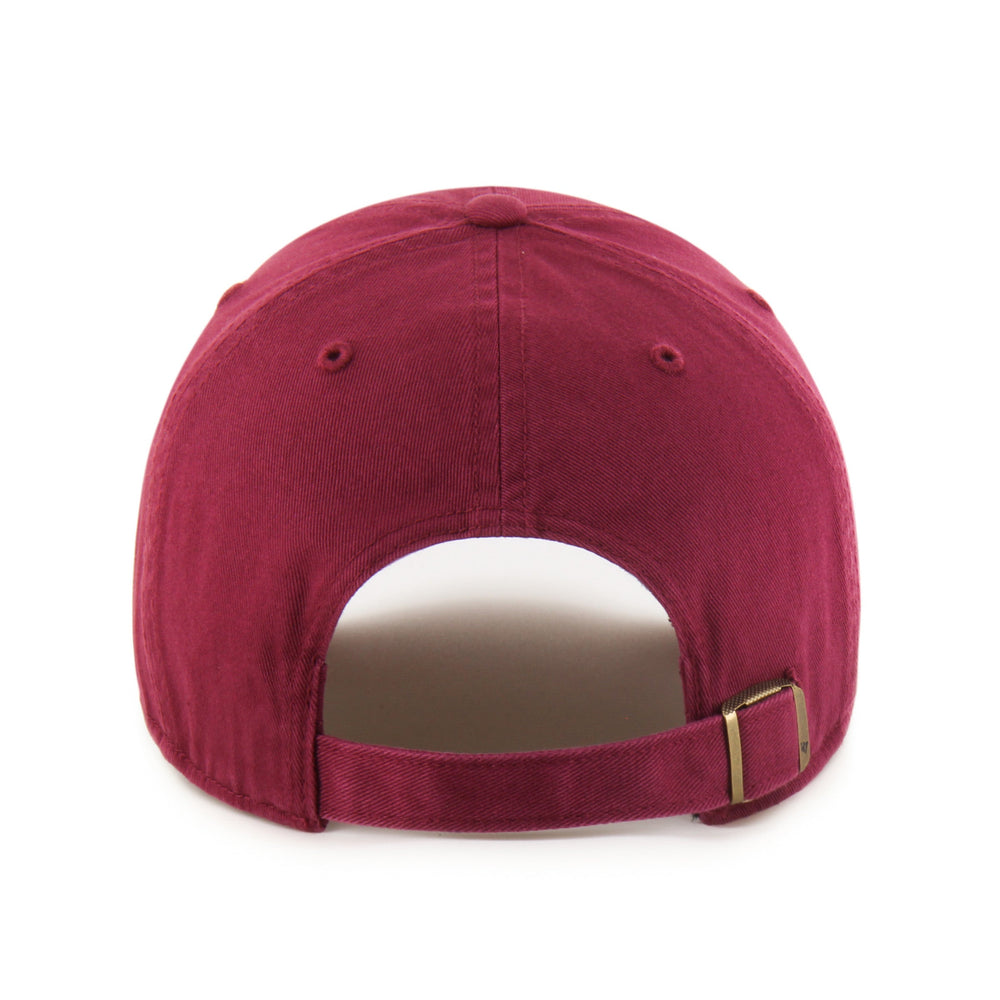 DETROIT LIONS '47 CLEAN UP CARDINAL