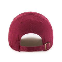 DETROIT LIONS '47 CLEAN UP CARDINAL